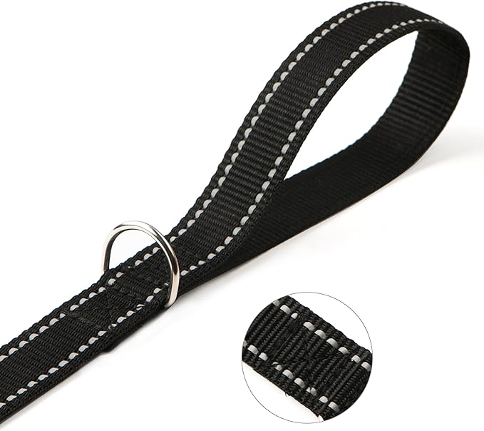 2-Pack Reflective Leash 6ft - Nylon Leashes for Small, Medium, Large Dogs, Puppies, Cats - 6ft Training Leash with D Ring (Black, 1" X 6FT(2-Pack))