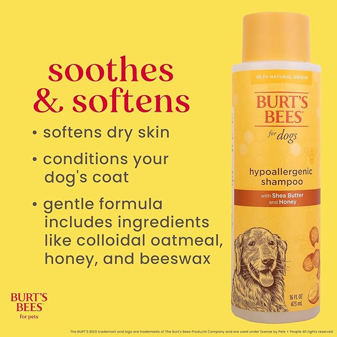 Burt's Bees for Pets Hypoallergenic Dog Shampoo with Shea Butter and Honey, Gentle Fragrance Free Shampoo for Sensitive Dogs with 95% Natural Origin Skin and Coat Formula, 16 Fl Oz - 2 Pack