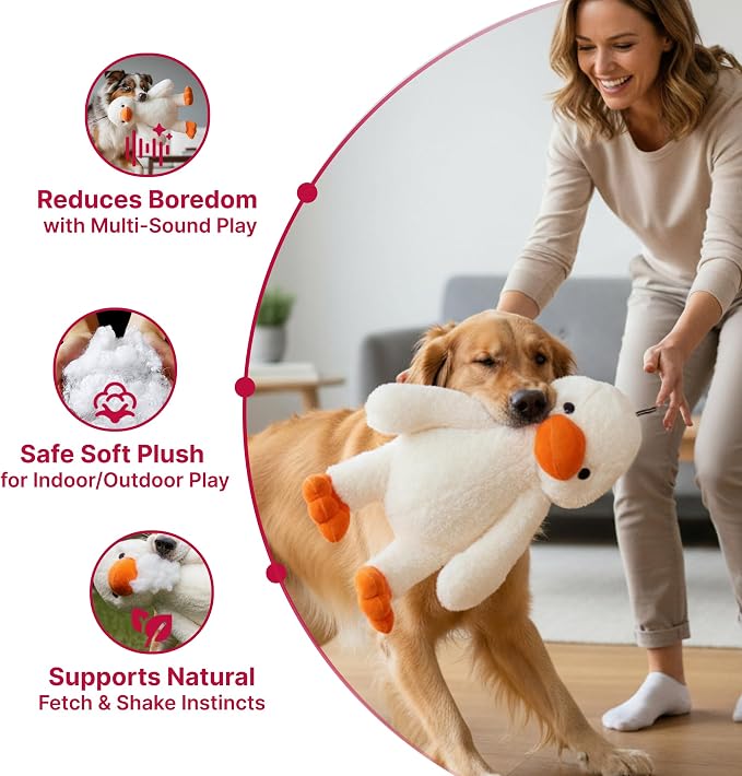 PetLou Colossal Durable Squeak Dog Toys -Durable Fabric -Tough and Reliable for Aggressive Chewers (00352)