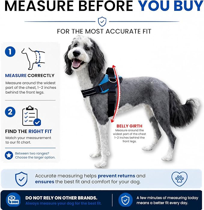 ShawnCo Essential Dog Harness, No-Pull Pet Vest with 3 Leash Clips, No Choke, Reflective, Adjustable and Padded, for Easy Walking and Training for Small, Medium and Large Dogs (Moonglow, XL)