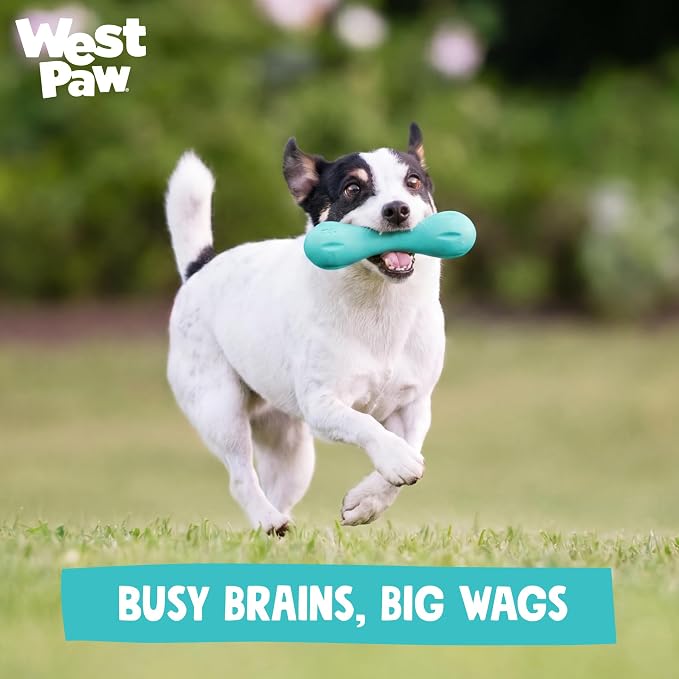 WEST PAW Zogoflex Hurley Dog Bone Chew Toy – Floatable Pet Toys for Aggressive Chewers, Catch, Fetch – Bright-Colored Bones for Dogs – Recyclable, Dishwasher-Safe, Non-Toxic, X-Small, Teal