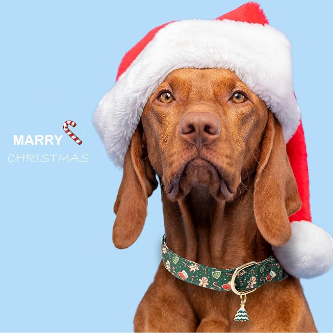 Faygarsle Green Dog Collar Christmas Design Gingerbread Man Pattern for Small Medium Large Dogs Collar Cute Stylish Girl Boy Christmas Dog Collar S