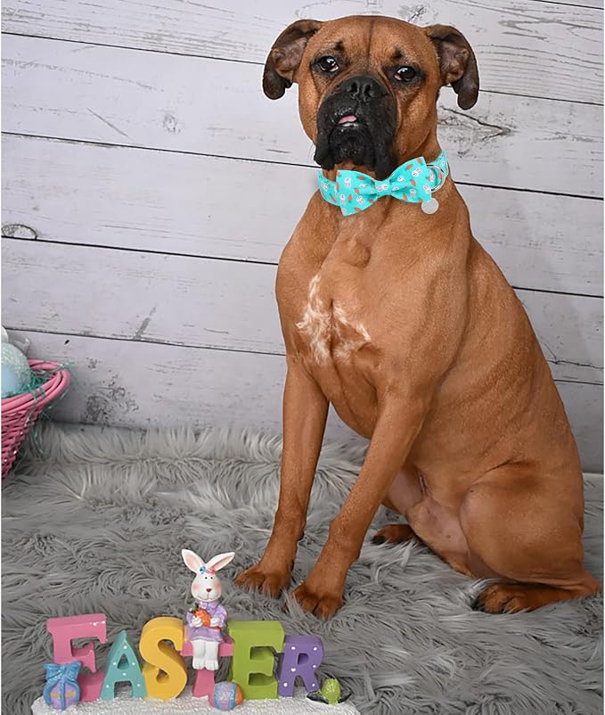 Easter Dog Collar with Bow Tie, Cotton Easter Bowtie Collar for Puppy Girl Boy Dog or Cat, Cute Carrot Pet Collar with Metal Buckle, Easter Gift Rabbit Dog Collar, XS