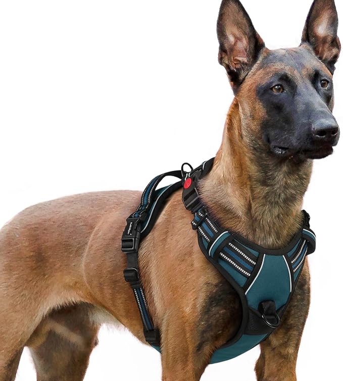 rabbitgoo Dog Harness for Large, No Pull Easy On & Off with 3 Buckles Pet Harness, Adjustable Soft Walking Vest with 2 Clips and Handle, Reflective for Extra Large Dogs,Blue Coral,XL