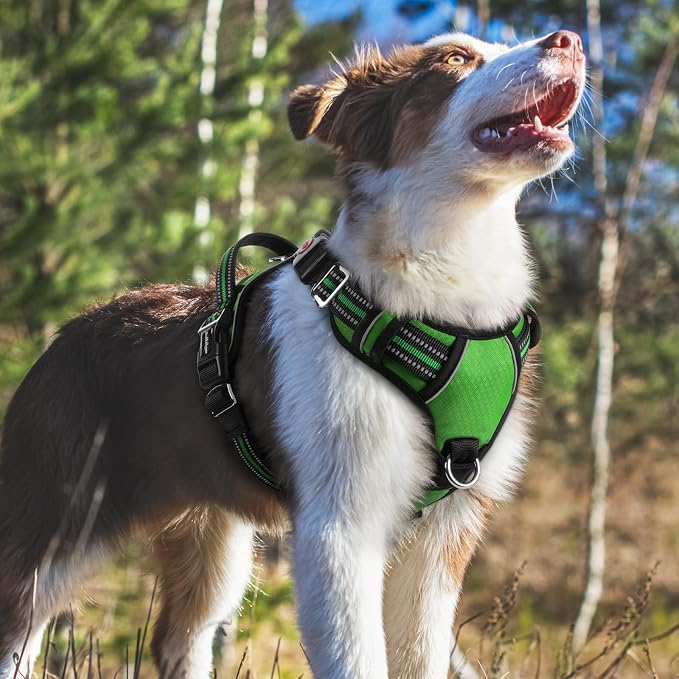 rabbitgoo Dog Harness Medium Sized, 3 Buckles Easy On & Off No Pull Pet Vest, Soft Padded Walking Pet Harness with Control Handle, Adjustable and Reflective, Green, M
