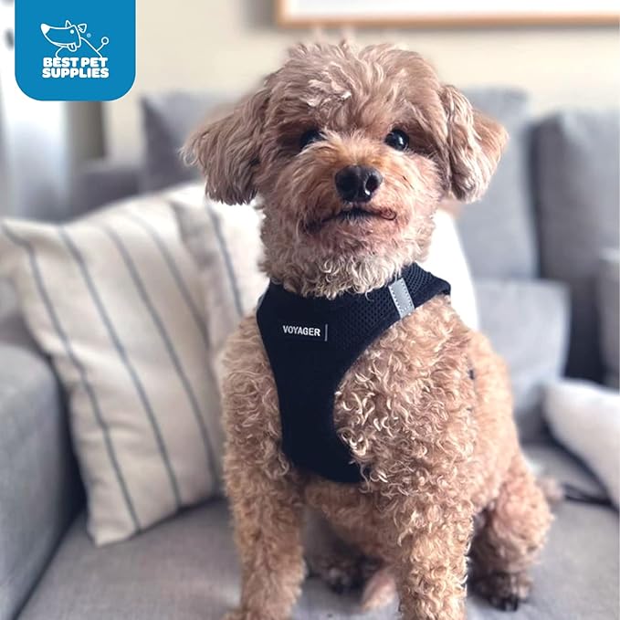 Best Pet Supplies - All Weather Mesh / Plush, Reflective, No Pull Harness for Small, Medium Dogs, Cats - Secure with Hook & Loop Fastener, Buckle, Double D-Rings - Black/Black Trim, XL