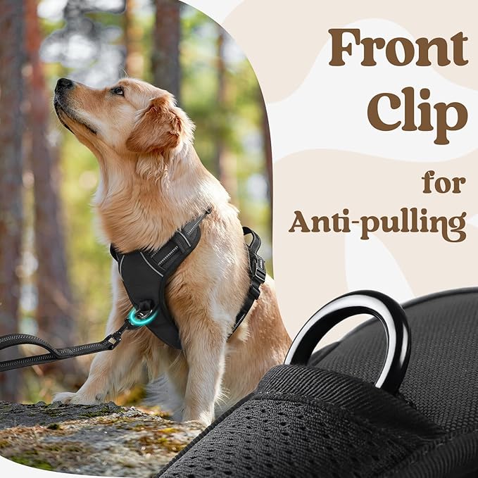 rabbitgoo Dog Harness for Large, No Pull Easy On & Off with 3 Buckles Pet Harness, Adjustable Soft Walking Vest with 2 Clips and Handle, Reflective for Large Dogs, Black, L