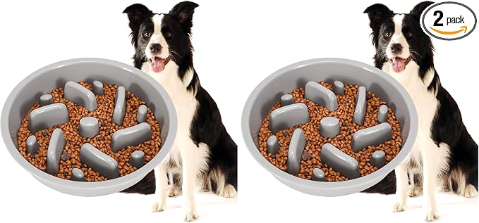 JASGOOD Largr Dog Slow Feeder Bowl - Reduce Slip Puzzle Bowl for Elevated Diners - Gray, Fit Opening 8.9"-9.25" (Pack of 2)