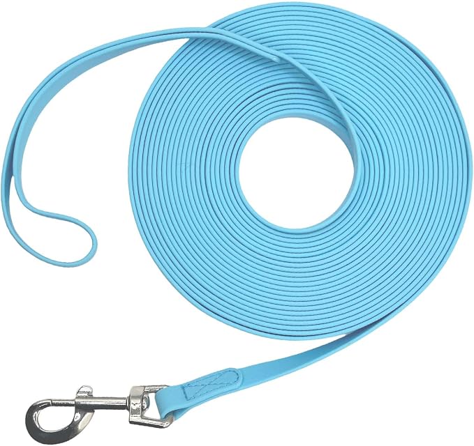 Waterproof Long Leash Durable Dog Recall Training Lead Great for Outdoor Hiking, Training, Yard, Beach and Swimming (Sky Blue, 10ft)