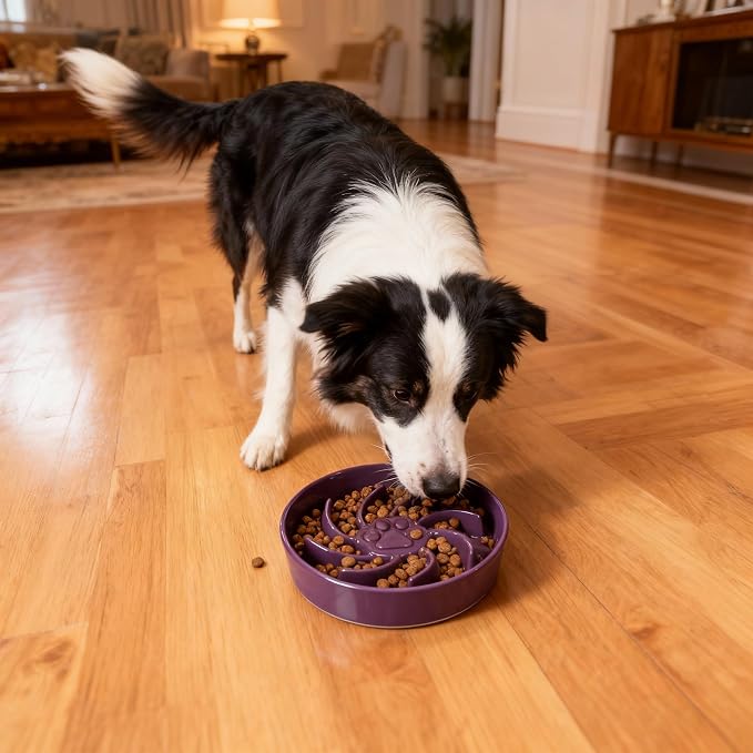 Ceramic Slow Feeder Dog Bowl, 3 Cup Dog Food or 25oz Water, Slow Eating Bowl for Middle Breed, Maze Puzzle Feeder for Fast Eaters, Anti-Choking Stop Bloat, Non-Slip BPA Free (Purple)