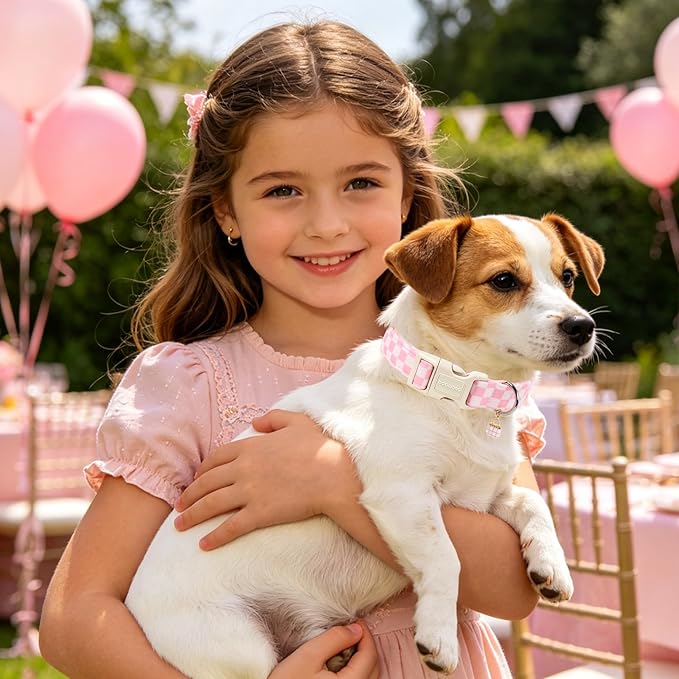 DOGWONG Girl Dog Collar for Small Dogs, Pink Checked Dog Collars, Pink Checked Dogs Collars for Small Medium Dogs, Neck 11-16 inches