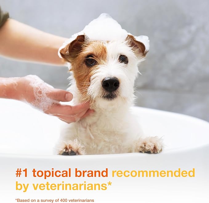 Douxo S3 PYO Chlorhexidine Shampoo For Dogs, Medicated Shampoo Antibacterial & Antiseptic, Yeast Infection Treatment for Dogs & Cats, Clinically Proven, 16.9 fl oz