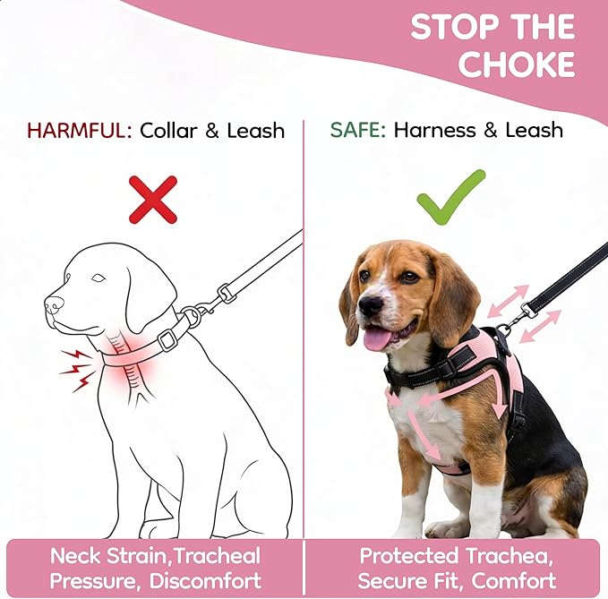 No Pull Reflective Adjustable Dog Harness With Handle- Comfortable Soft All Weather Mesh, Easy On Puppy Harness For Small Medium and Large Dogs (Pink) Medium