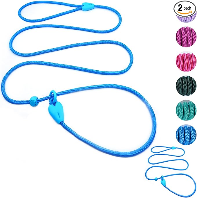 2 Pack Slip Leads for Dogs 6FT Slip Leash for Dogs Dog Lead Strong Nylon Dog Training Leash No Pull Rope Dog Leash Dog Leashes for Small Medium Dogs(Blue+Blue)