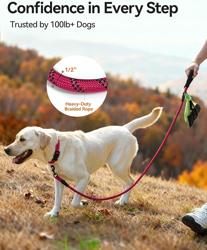 Joytale Dog Leash for Large Dogs, Heavy Duty Nylon Leashes with Comfortable Padded Handle and Highly Reflective Threads, Ideal for Walking and Training, Hotpink, 6'×1/2''
