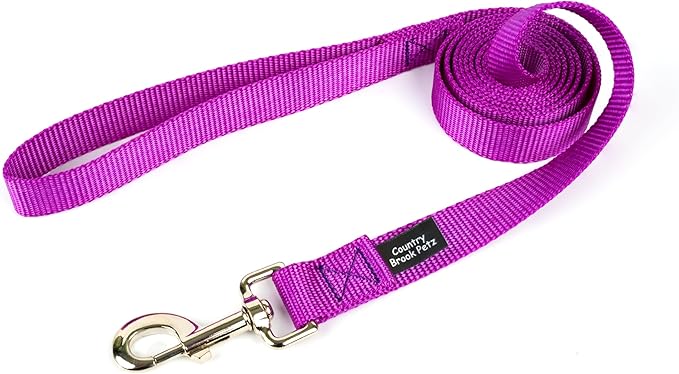 Country Brook Petz - Everyday Nylon Dog Leash - Strong, Durable, Solid Color Leash with Easy to Use Snap - 25+ Colors (1 Inch Wide, 6 Foot, Bright Purple)