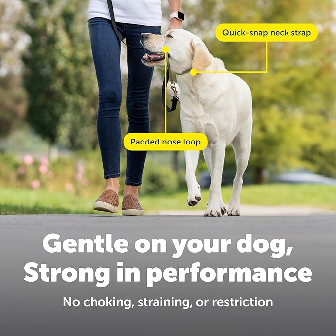 PetSafe Gentle Leader No-Pull Dog Headcollar - The Ultimate Solution to Pulling - Redirects Your Dog's Pulling for Easier Walks - Helps You Regain Control - Medium, Apple Green