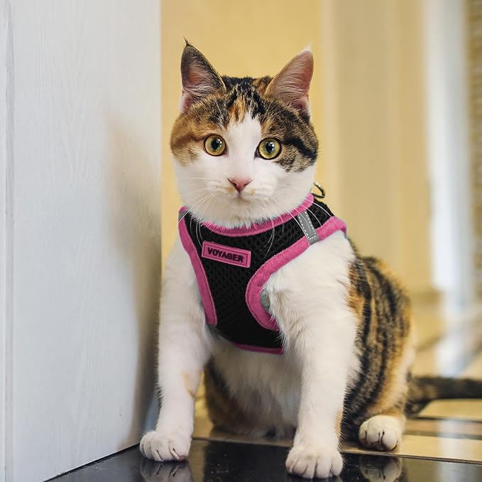 Best Pet Supplies - All Weather Mesh/Plush, Reflective, No Pull Harness for Small, Medium Dogs, Cats - Secure with Hook & Loop Fastener, Buckle, Double D-Rings - Black/Pink Trim, XS
