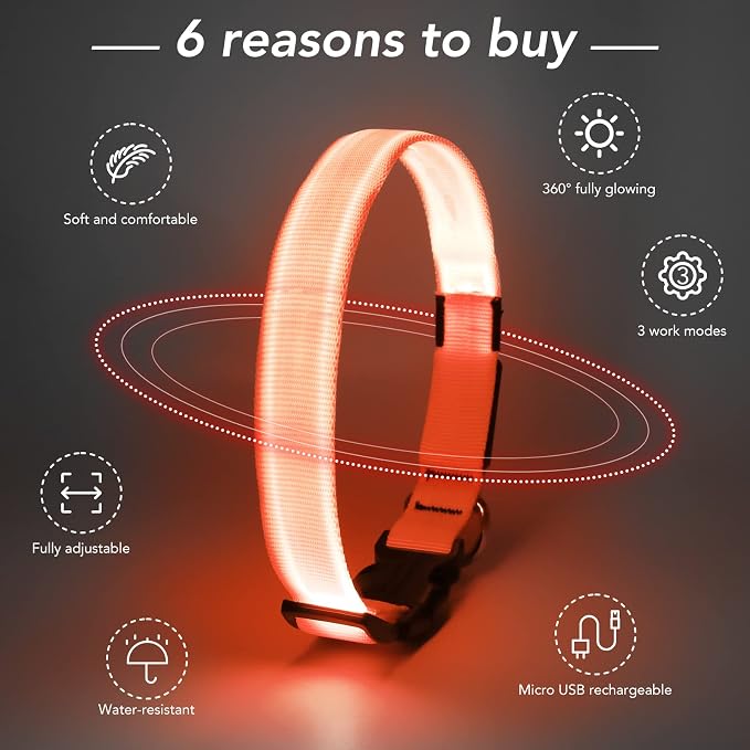Light Up Dog Collar, Rechargeable USB Collar, Waterproof, Luminous LED Collar, Adjustable, Super Bright, Night Walking for Small Medium Large Dogs, Orange, L