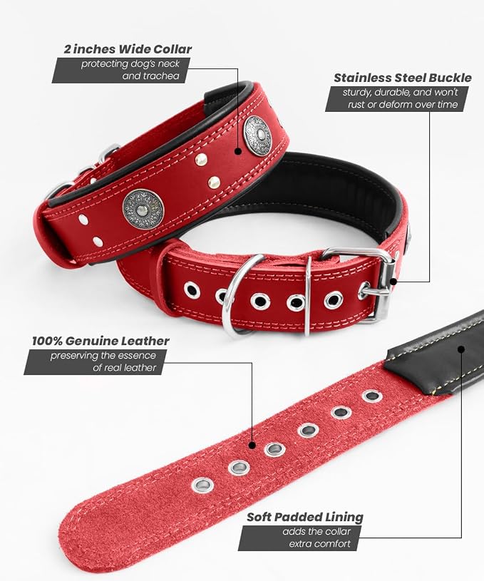 Genuine Leather Dog Collar for Large Dogs,2 in Wide Heavy Duty,RD-S | Handmade,Stainless Steel Pin Buckle,Soft Padded,Alloy Studded,Luxury Eye-catching Design,Medium Large Giant Breeds,15-19 in