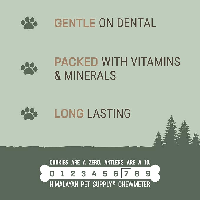 Antler and Himalayan Cheese Dog Chew | Long Lasting, Stain Free, Protein Rich, Low Odor | 100% Natural, Healthy & Safe | No Lactose, Gluten Or Grains | Antler Bone | for Dogs 45 Lbs & Smaller
