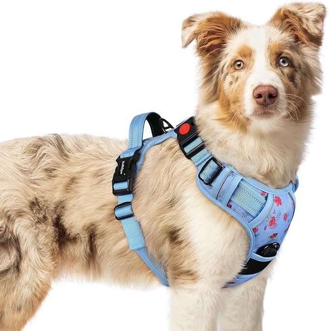 rabbitgoo Dog Harness Medium Sized, No Pull Easy On & Off with 3 Buckles Pet Harness, Adjustable Soft Walking Vest with 2 Clips and Handle, Reflective for Medium Dogs, Floral Blue, M