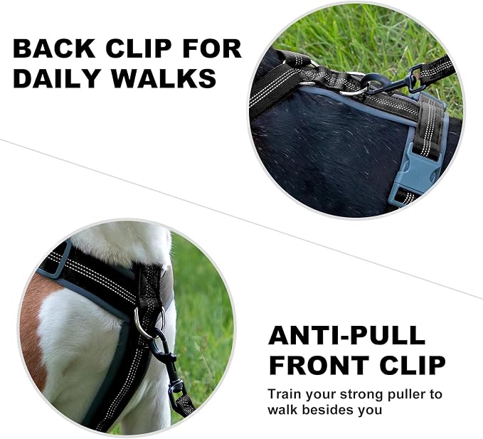 Plutus Pet No Pull Dog Harness, Adjustable Nylon Harness with Soft Padding, Reflective and Heavy Duty Dog Harness for Small, Medium, Large Dogs(Black, S)