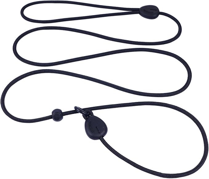 6FT Heavy Duty Slip Lead - No Pull Dog Training Leash, Comfortable & Lightweight, Suitable for Small to Medium Dogs (Black)