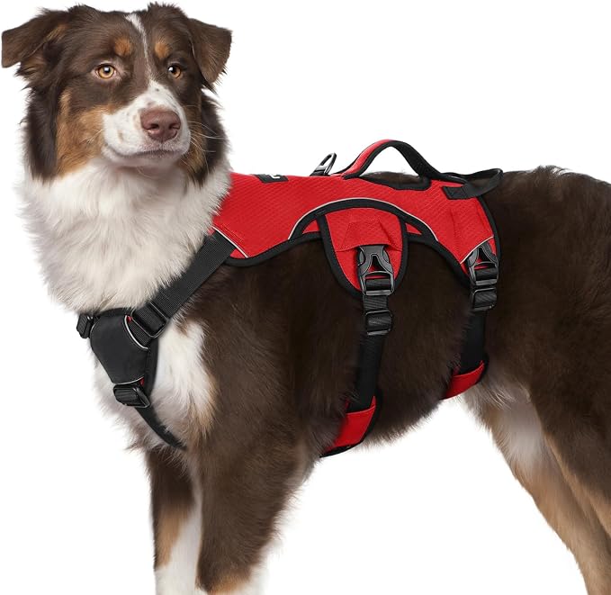 rabbitgoo Escape Proof Dog Harness, Soft Padded Full Body Pet Harness, Reflective Adjustable No Pull Vest with Lift Handle and Leash Clip for Large Dogs Walking Hiking Training, M, Red
