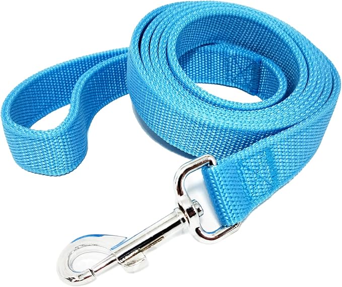 Strong Nylon Dog Leash with 2-Layer, 4 FT/ 6 Feet Long, 1 Inch Wide for Medium Large Dogs (1'' x 7 FT, Sky Blue)