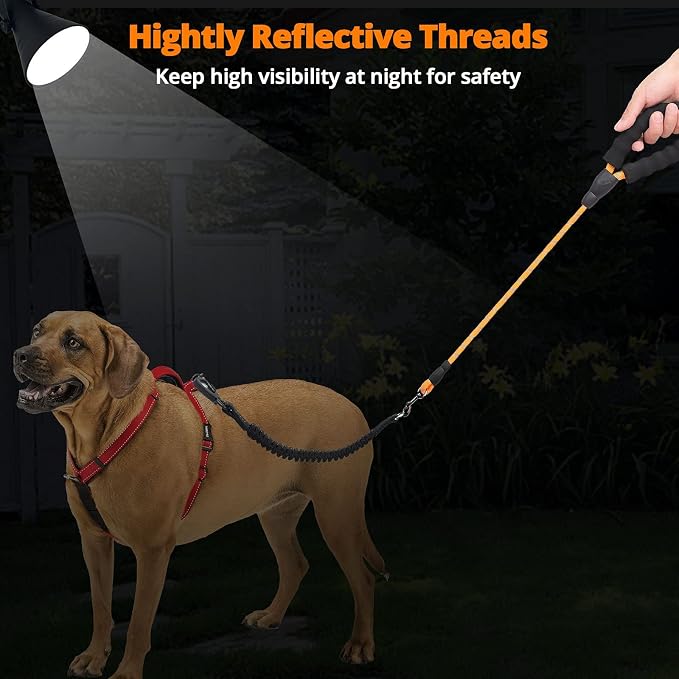 Long Dog Leash 50 FT: Heavy Duty Rope Leashes for Dogs Training with Swivel Lockable Hook Reflective Threads Bungee and Padded Handle - Dog Lead for Large Small Medium Dogs Outside Walking Orange
