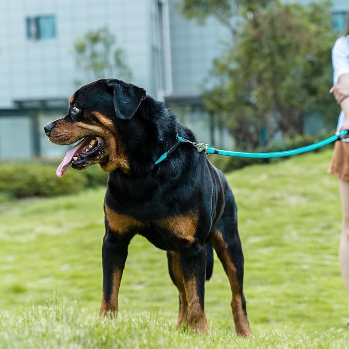 Dog Leash, Braided Rope Traction – Walking Training Lead for Medium/Large Dogs ((1/2") x 6FT, Light Blue)