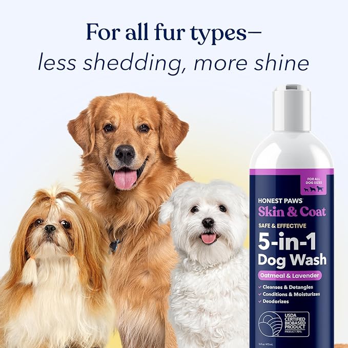 Honest Paws Dog Shampoo and Conditioner - Premium Dog Wash for Allergies and Dry, Itchy, Moisturizing for Sensitive Skin - Sulfate Free, Plant Based, All Natural - Oatmeal & Lavender - 16 Fl Oz