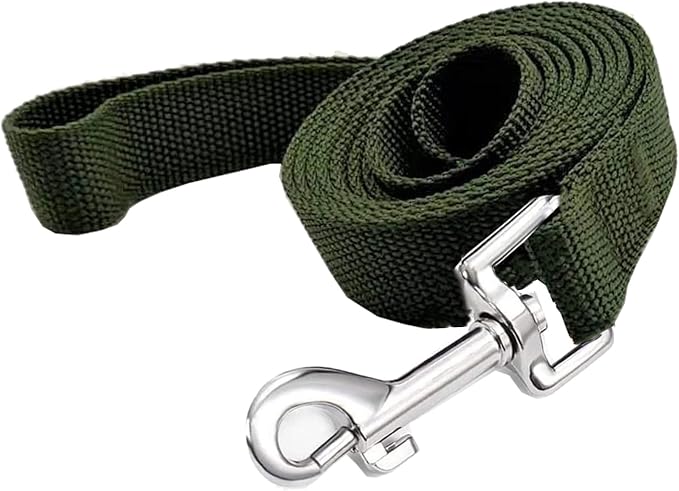TAIAN 4FT/5FT/6FT Strong Dog Leash, Nylon Dog Leashes for Small Medium Large Dogs (5/8 in x 5 ft, Green)