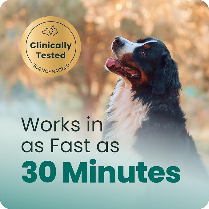 VetriScience Clinically Tested Composure Calm & Confident Chews for Dogs – Helps Manage Occasional Stress & Supports Balanced Behavior, Non-Drowsy Soft Chews with L-Theanine, Peanut Butter, 60 Count