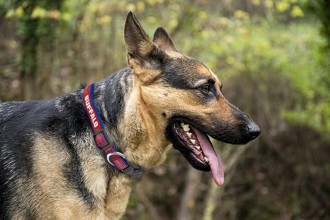 Pets First NFL Buffalo Bills Licensed PET COLLAR, Extra Large - Heavy-Duty, Strong, and Durable Dog Collar. Available in 31 Football Teams and 4 Sizes