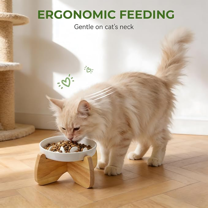 Raised Slow Feeder Cat Bowl with Stand, 6.3'' Wide Ceramic Elevated Shallow Slow Eating Cat Bowl for Dry/Wet Food, Anti-Vomiting Pet Puzzle Feeder, Whisker Friendly, Dishwasher Safe (2 Pack)