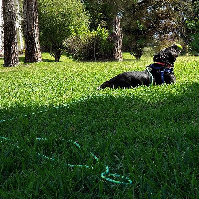 BTINESFUL 8ft 12ft 20ft 30ft 50ft 75ft Dog Tie Out Long Tether Rope Leash, Outdoor Yard Leash, Large Medium Small Dogs Training, Playing, Camping, Backyard (75 Foot, Green)