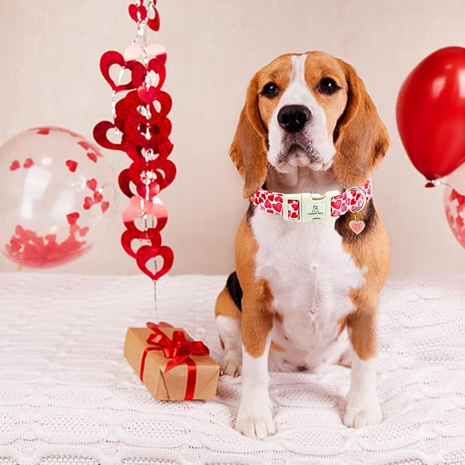 Lionheart glory Valentine's Day Collar, Red Hearts Dog Collar for Medium Cute Dog Collars Spring Female Pet Gift Adjustable Heavy-Duty Holiday Dog Collar Plastic Buckle
