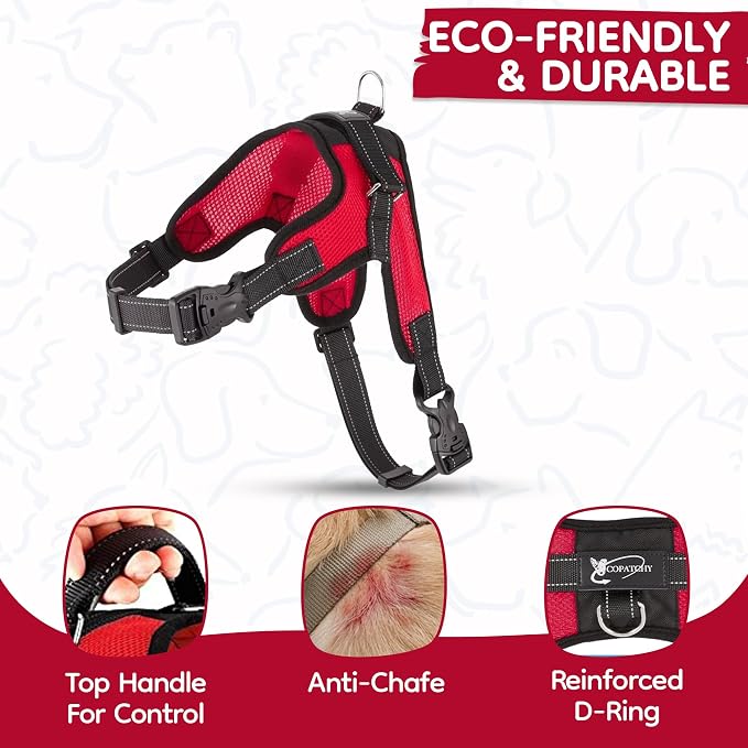 No Pull Reflective Adjustable Dog Harness with Handle- Comfortable Soft All Weather Mesh, Easy On Puppy Harness for Small Medium and Large Dogs (Red) Large