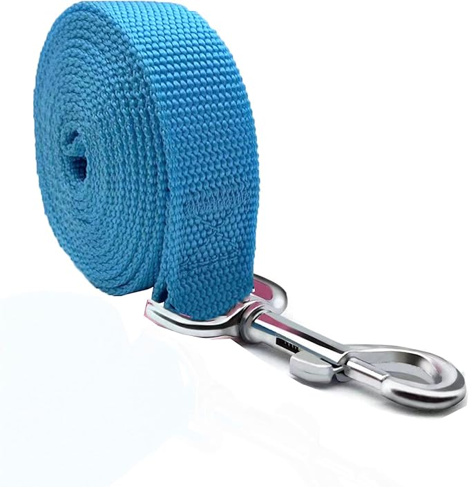 TAIAN 4FT/5FT/6FT Strong Dog Leash, Nylon Dog Leashes for Small Medium Large Dogs (3/4 in x 5 ft, Blue)