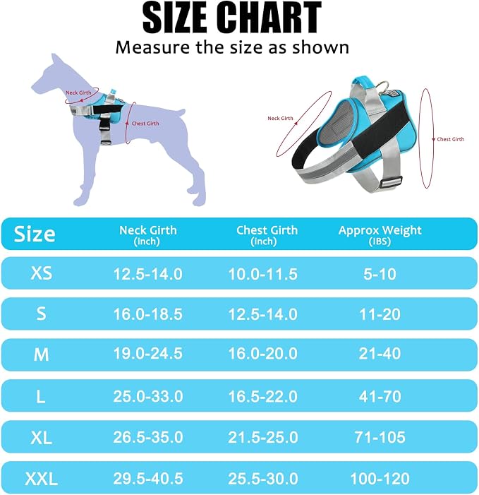 Dog Harness, No-Pull Reflective Dog Vest, Breathable Adjustable Pet Harness with Handle for Outdoor Walking - No More Pulling, Tugging or Choking (OceanicBlue, Medium (Pack of 1))