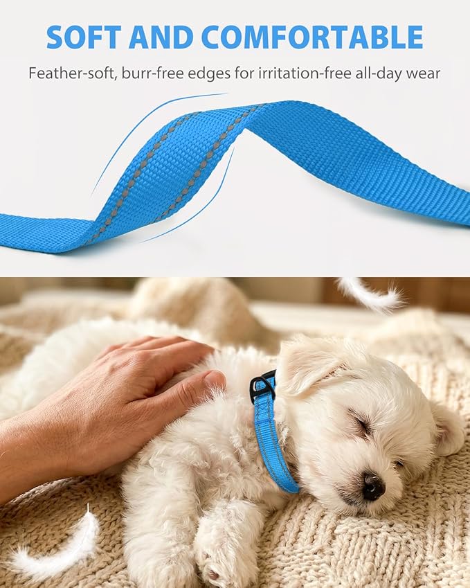 Joytale Small Dog Collar, Durable Double-Sided Reflective Nylon Collar for Night Safety, Adjustable Quick-Release for Active Breeds, Sky Blue, S (3/4" Width)