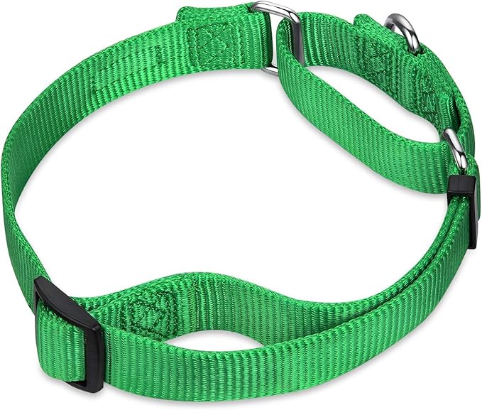 Hyhug Martingale Dog Collar Medium Green |Escape - Proof Heavy Duty Nylon Durable No Slip, Ideal for Training & Daily Walks