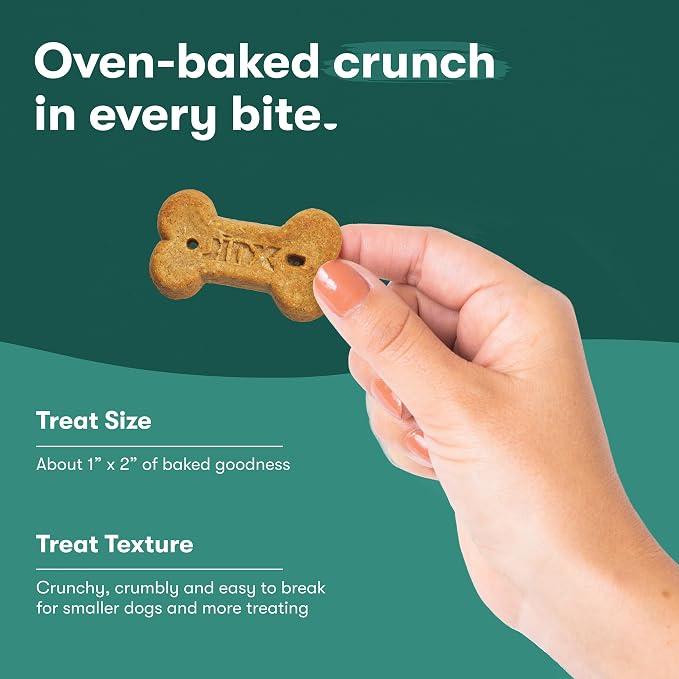 Jinx Oven-Baked Salmon Bone Broth Biscuit Dog Treats - Crunchy, All Natural, Superfood-Rich with High-Protein Salmon, Dog Biscuits for Puppies, Adults & Seniors - 16oz