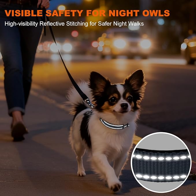 Taglory Reflective Dog Collar for Puppies with Escape-Proof Locking Buckle, Soft Neoprene Padded and Upgraded Zinc Alloy Ring, Adjustable for Chihuahua Yorkie, Grey,XS