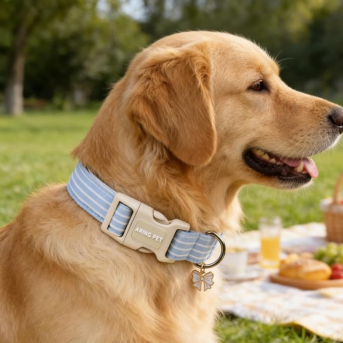 ARING PET Stripe Dog Collar, Cute Spring Summer Blue Stripe Pet Collars with Bow Charm for Puppy Small Medium Large Boy Girl Dogs-L, for Daily Outdoor Walking Training