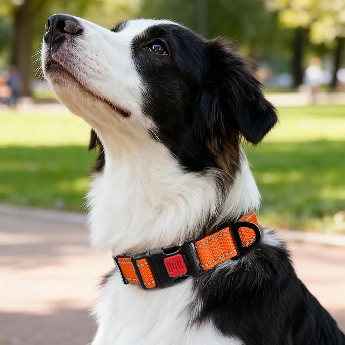 Taglory Reflective Dog Collar for Medium Dogs, Soft Neoprene Padded with Escape-Proof Locking Buckle, Upgraded Zinc Alloy Ring, Adjustable for Walking Female Male, Orange,M