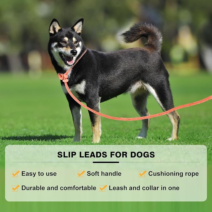 Lynxking Dog Leash Slip Lead Reflective Breathable Rope Comfortable Strong No Pull Slip On Pet Training Lead for Dogs (Orange, Large 1/2 inch x 6ft)