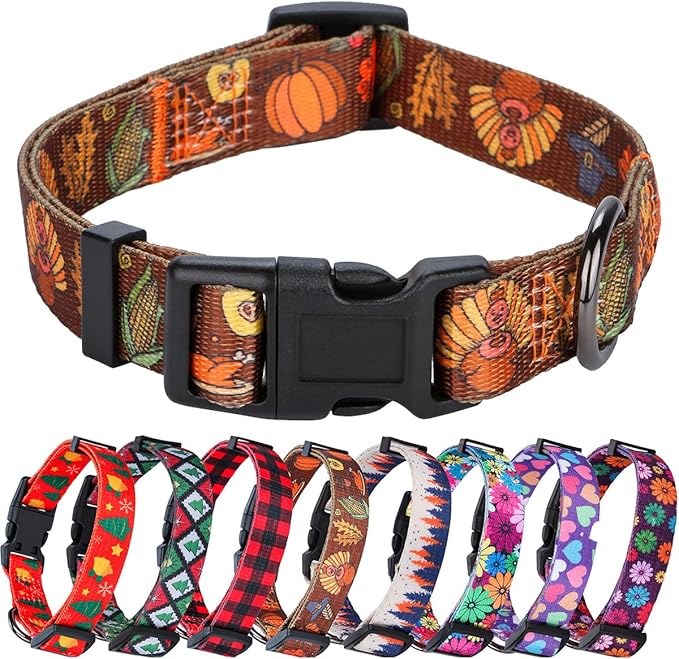 Fall Halloween Thanksgiving Dog Collars Large Size